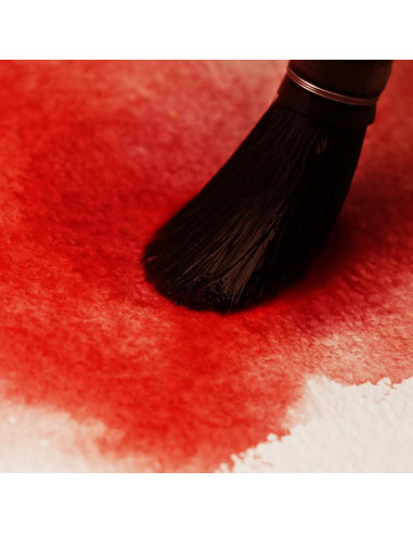 Conjunto de 24 tubos de pintura acuarela PHOENIX 12ml no tóxica