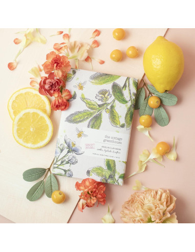 Caja de Descubrimiento de Verano Margot Elena - Set de Belleza