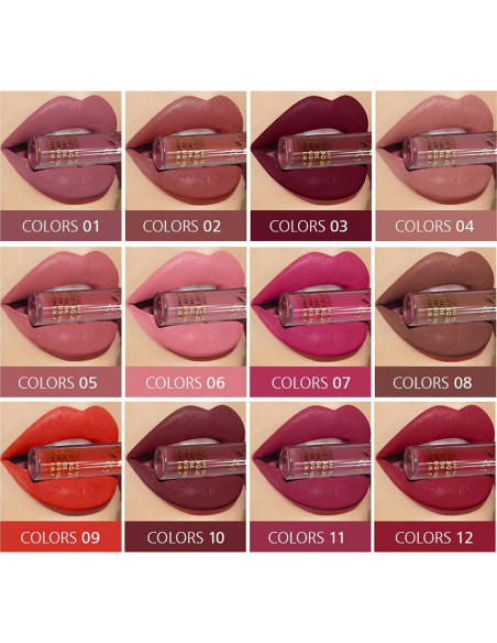 Conjunto de lápiz labial líquido PRALOVIXAE 12 colores mate
