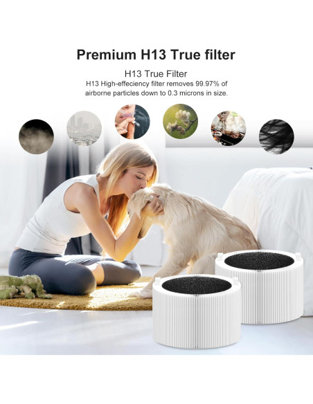 Filtro de Reemplazo Blue Pure 211i Max - 2 Paquete H13 Alta Eficiencia