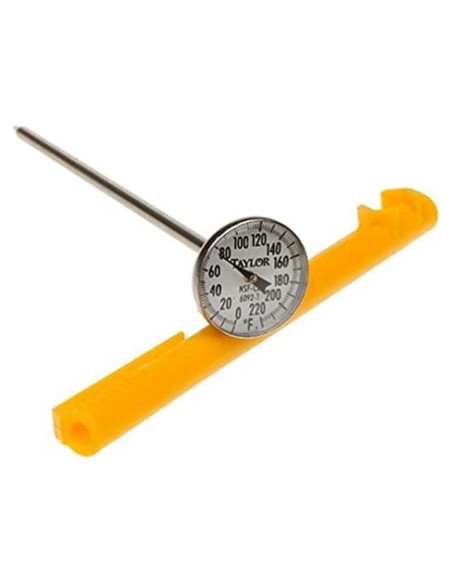 Termómetro de Lectura Instantánea Taylor Acero Inoxidable 22.1 cm