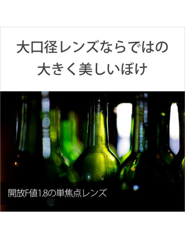 Lente Prime Sony SEL55F18Z 55mm F1.8 Montura E Formato Completo