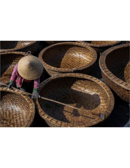 Lente Sigma 50mm F2.0 DG DN para montura Sony E