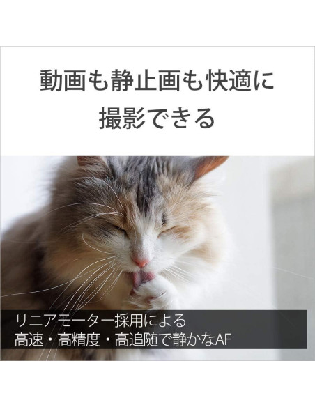 Lente Prime Sony SEL55F18Z 55mm F1.8 Montura E Formato Completo Lente Prime Sony SEL55F18Z 55mm F1.8 Montura E Formato Completo