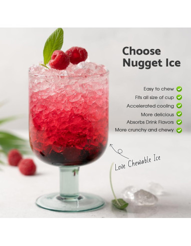 Máquina de Hielo ADVWIN SK10 17.24 kg/día Plata