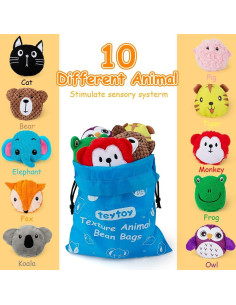 Bolsa de Frijoles Sensorial para Niños 10 Piezas - teytoy 2