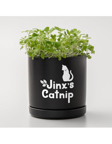 Vinilo Removible Cricut Joy Xtra Smart Blanco 24.1x91.4 cm