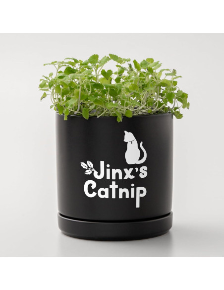 Vinilo Removible Cricut Joy Xtra Smart Blanco 24.1x91.4 cm Vinilo Removible Cricut Joy Xtra Smart Blanco 24.1x91.4 cm