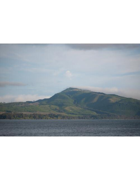 Lente Sigma 28-105mm f/2.8 DG DN Art para Sony E con Accesorios