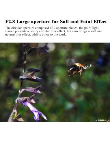 Lente Macro 60mm F2.8 2X 7artisans para Cámara Sony E