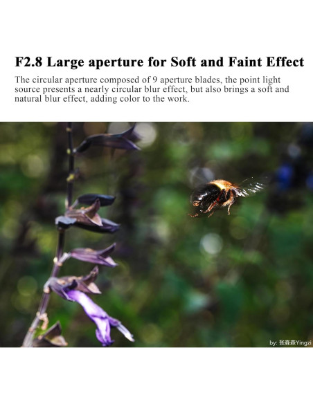 Lente Macro 60mm F2.8 2X 7artisans para Cámara Sony E