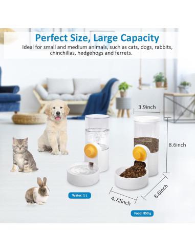 Dispensador Automático de Agua y Comida DricRoda para Mascotas