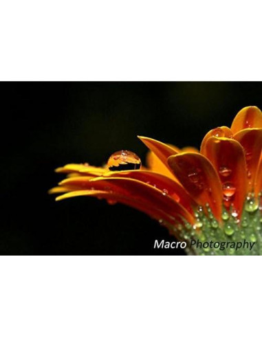 Lente Ojo de Pez 37mm Pro Series para Panasonic Lumix GX85