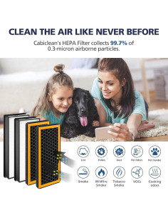 Paquete de 4 Filtros de Reemplazo HoMedics AT-PET01/02/AR-45 2