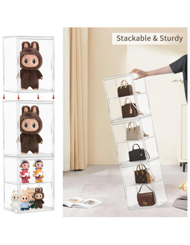 Caja de Exhibición Acrílica Grande Lifelongpal con Divisor Removible