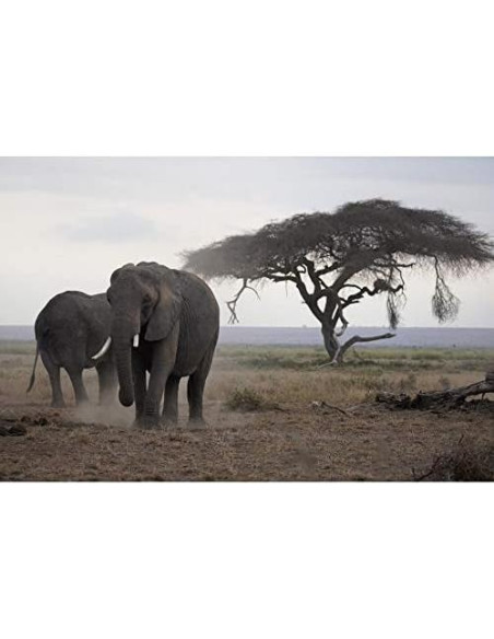 Lente Sony E 70-350mm F4.5-6.3 G OSS Telefoto + Filtros y Accesorios Lente Sony E 70-350mm F4.5-6.3 G OSS Telefoto + Filtros y Accesorios