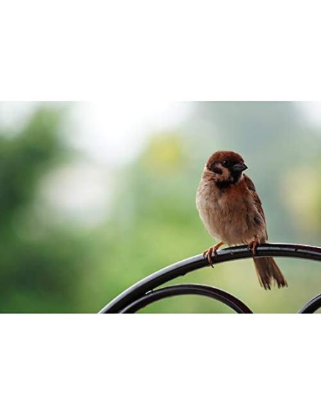 Lente Sony E 70-350mm F4.5-6.3 G OSS Telefoto + Filtros y Accesorios Lente Sony E 70-350mm F4.5-6.3 G OSS Telefoto + Filtros y Accesorios