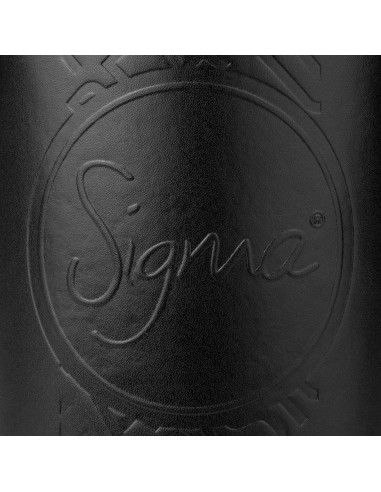 Soporte para Brochas Sigma Beauty - Negro - 2 Tazas Viaje
