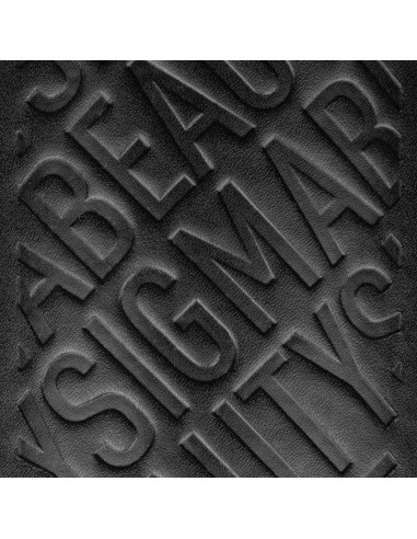 Soporte para Brochas Sigma Beauty - Negro - 2 Tazas Viaje