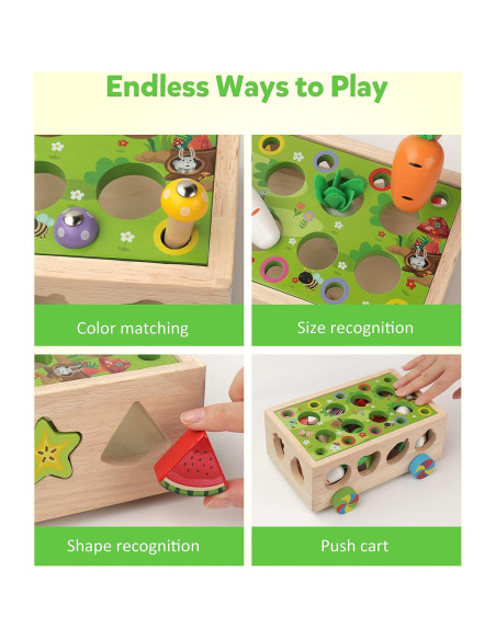 Juguete Montessori Coogam de Motricidad Fina para Niños 3+ Juguete Montessori Coogam de Motricidad Fina para Niños 3+