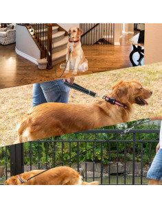 Correa para Perro PAWNISAW 1.52m Resistente con Mango Acolchado 2