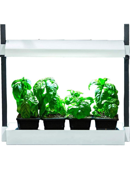 Kit Jardín Interior SunBlaster SL1600219 LED Auto-regante