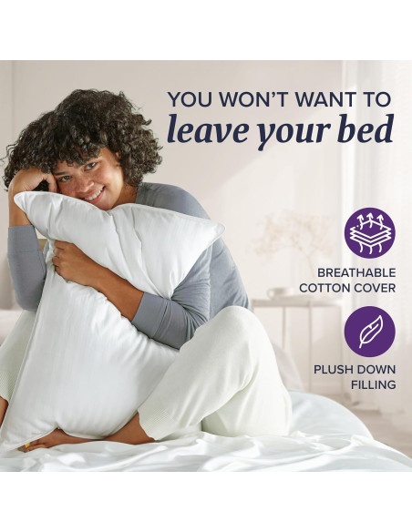 Almohadas de Plumas Beckham Reina - Set de 2, Lavables Almohadas de Plumas Beckham Reina - Set de 2, Lavables