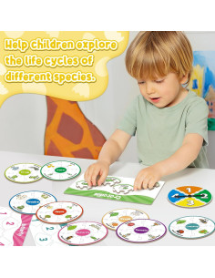 Rompecabezas Ciclo de Vida Montessori Dingliu - 14 Piezas 2