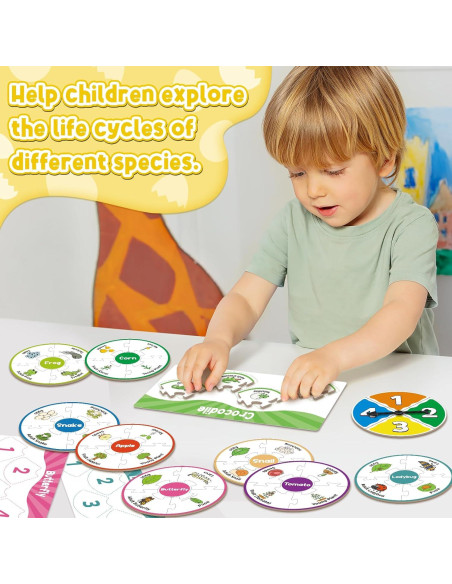 Rompecabezas Ciclo de Vida Montessori Dingliu - 14 Piezas Rompecabezas Ciclo de Vida Montessori Dingliu - 14 Piezas