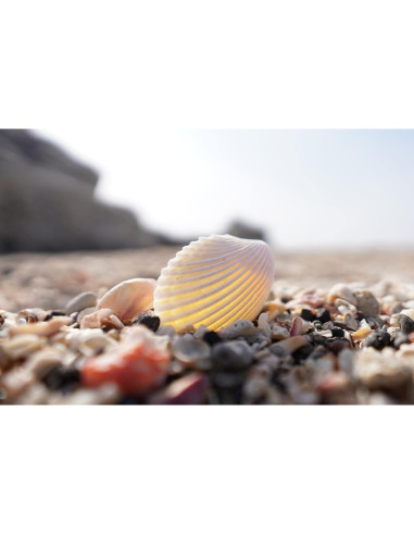 Lente Sony E 15mm F1.4 G Gran Angular APS-C 0.38kg