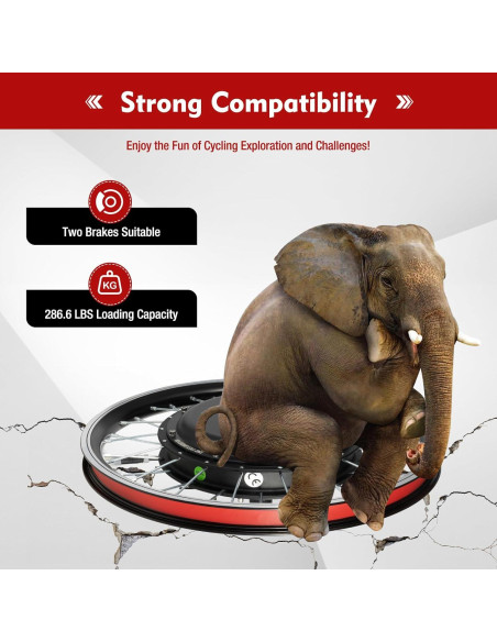 Kit de Conversión E-Bike JLYNOWPT 1000W 48V 20" Delantera