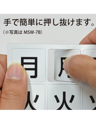 Taza de Programación Imán MSW-7LL 5 Semanas Grande