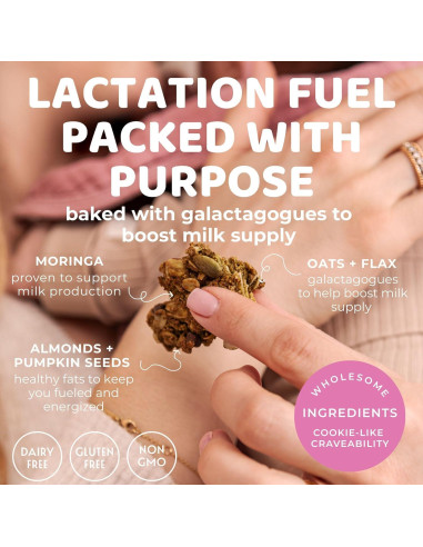 Granola de Lactancia The Hampton Grocer 453g - Superalimentos Galactogogos