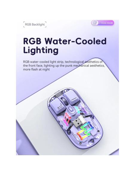 Ratón Inalámbrico Diyeeni RGB Transparente 1600 DPI Recargable