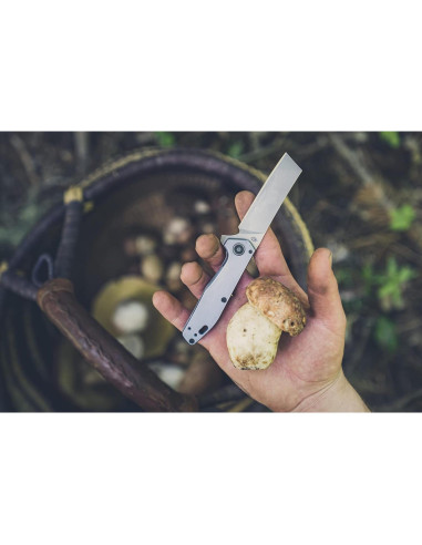 Cuchillo Plegable Gerber Gear Fastball Linerlock 7.62 cm Azul