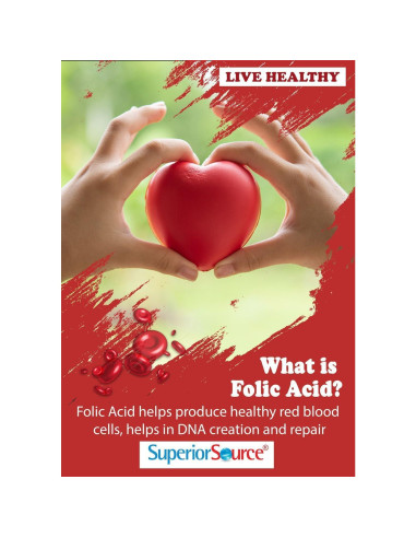 Suplemento de Metilfolato Superior Source 1000 mcg - 60 Tabletas Sublinguales