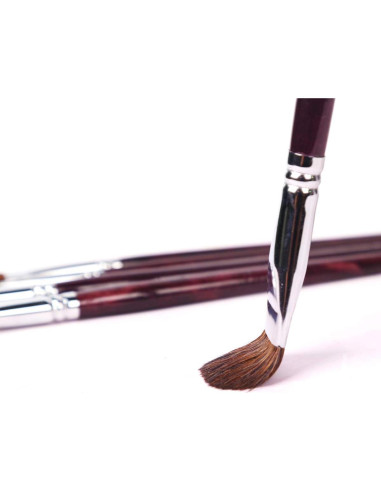 Set de Pinceles Filbert Transon 6pcs para Acrílico y Acuarela