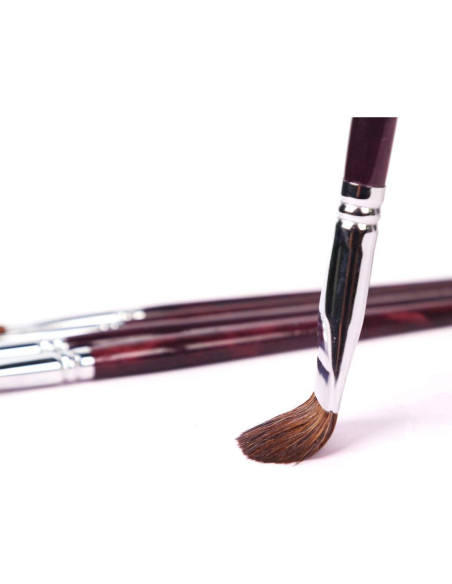 Set de Pinceles Filbert Transon 6pcs para Acrílico y Acuarela