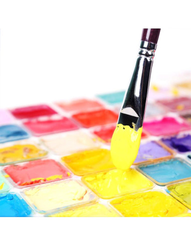 Set de Pinceles Filbert Transon 6pcs para Acrílico y Acuarela