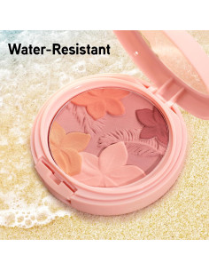 Rubor en Crema Matte Monoi Butter Physicians Formula 5.41g 2