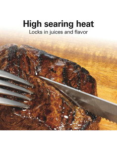 Parrilla Eléctrica Hamilton Beach 25360 con Control de Temperatura 232C 2