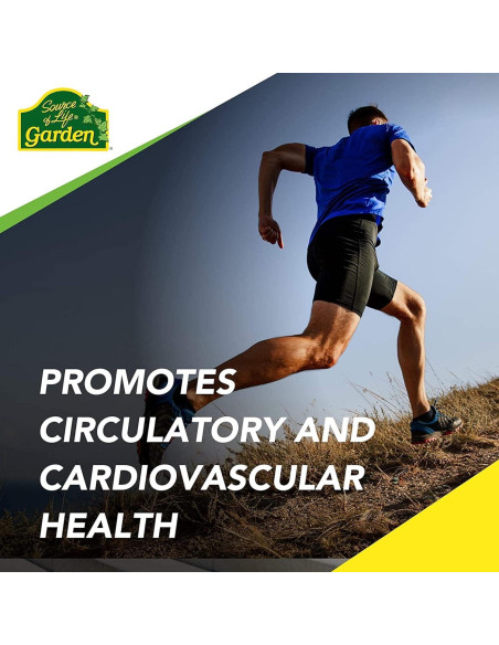 Suplemento de Hierro Orgánico Nature's Plus 18 mg - 30 Cápsulas Veganas Suplemento de Hierro Orgánico Nature's Plus 18 mg - 30 Cápsulas Veganas