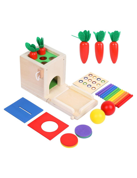 Juguete Montessori 4 en 1 Xylolin para Niños 1-2 Años