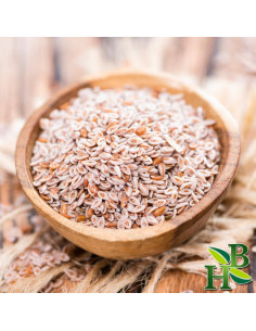 Cápsulas de Cáscara de Psyllium Orgánico 113g - Herb To Body 2