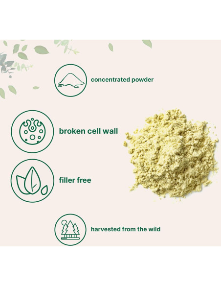 Polvo Puro de Polen de Pino Micro Ingredients 170g Orgánico Polvo Puro de Polen de Pino Micro Ingredients 170g Orgánico