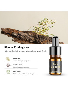 Aceites Esenciales Ceeniu F21 para Ambientadores de Coche - 130g 2