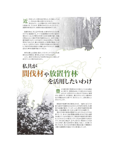 Plato Japonés Grande Yamashita Kogei Canto Vertical 21.59 cm