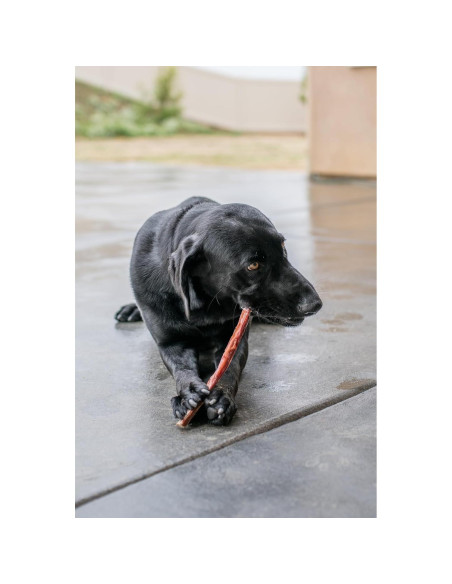 Palitos de Jerky de Esófago de Res GigaBite 50 Unidades 15.24 cm