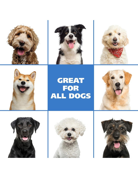 Champú sin enjuague Wahl 200 g - Aroma lavanda y manzanilla