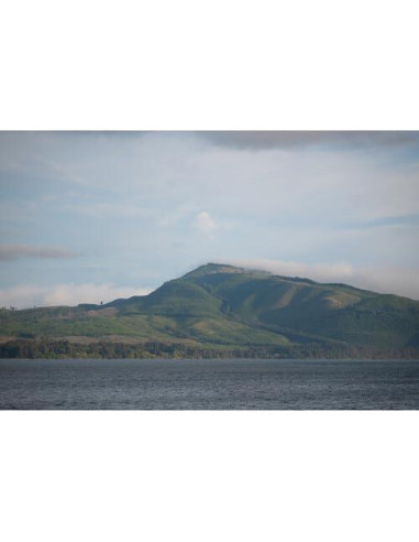 Lente Sigma 28-105mm f/2.8 DG DN Art para Sony E con Accesorios